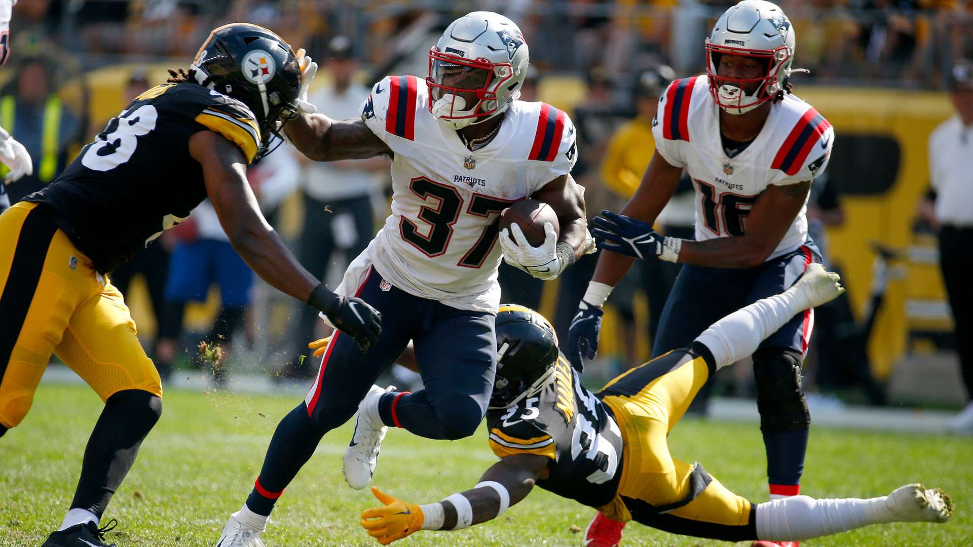 衡量一所大 衡量一所大